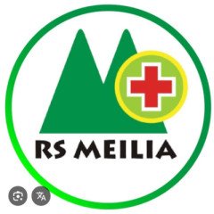 Logo RS MEILIA