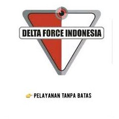Logo PT. DELTA FORCE INDONESIA