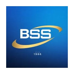 Logo BSS Recruitment Consultant